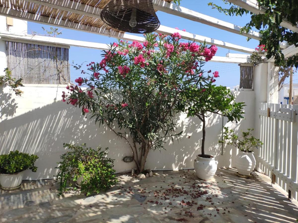 Lydia'S Charming House In Naoussa Βίλα Εξωτερικό φωτογραφία